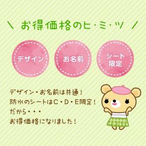 防水+算数 お名前シール最大1066枚 ピンセ...の詳細画像2
