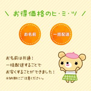 選べる6枚セット お名前ワッペン まる+よこ ...の詳細画像3