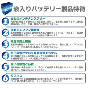 台湾 YUASA ユアサ NP7-12 小形制...の詳細画像3