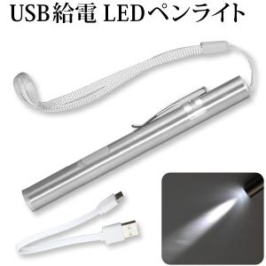 USB給電 LEDペンライト 懐中電灯 LED ペンライト USB 充電タイプ 災害時 アウトドア メール便 送料無料｜sealovely777