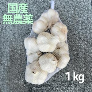 掘りたてニンニク　無農薬　茨城県　大子産　1kg
