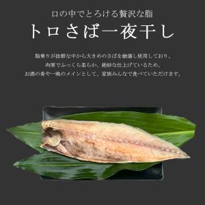 干物 干物セット ギフト 贈り物 熨斗対応 お...の詳細画像5