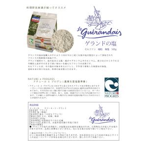 ゲランドの塩セルファン袋(マリン・ムリュ)細粒...の詳細画像1