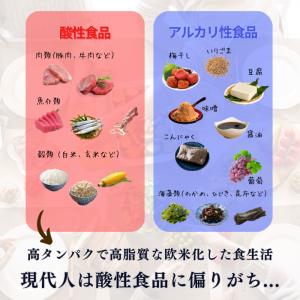 マグマ塩 料理用 100gの詳細画像2