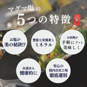 マグマ塩 料理用 100gの詳細画像5