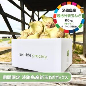 【期間限定】淡路島産規格外新玉ねぎボックス約5kg - Mサイズ（約17〜20個前後）｜seaside-grocery