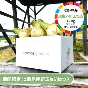 【期間限定】淡路島産規格外新玉ねぎボックス約2kg - Sサイズ（約6〜7個前後）｜seaside-grocery