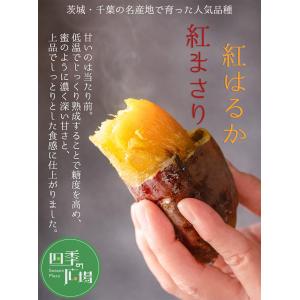さつまいも 紅はるか 紅まさり 約10kg 産...の詳細画像2