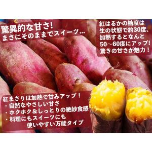 さつまいも 紅はるか 紅まさり 約10kg 産...の詳細画像3