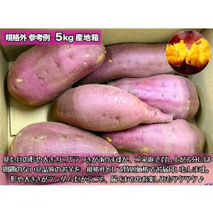 さつまいも 紅はるか 紅まさり 約10kg 産...の詳細画像5