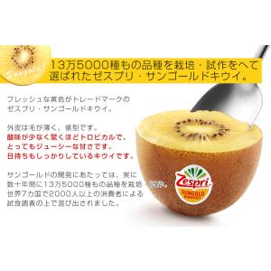 <ゼスプリ>サンゴールドキウイ 約2kg 箱 ...の詳細画像5