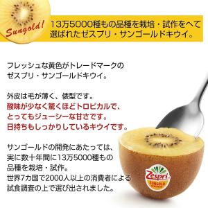 <ゼスプリ>サンゴールドキウイ 約5.5kg ...の詳細画像3