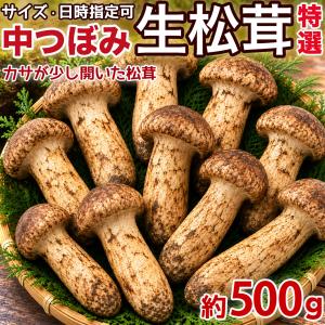 中国産 松茸” 約1kg 訳あり 開き方・大きさおまかせ【予約 7月〜8月
