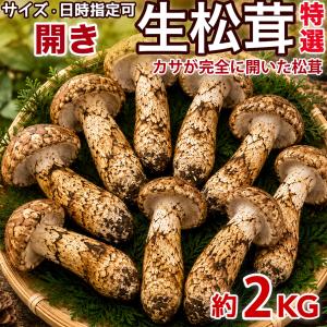 生松茸 約2kg 箱 つぼみ 特選 中国雲南産 天然まつたけ｜空輸直送