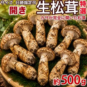 生松茸 約2kg 箱 つぼみ 特選 中国雲南産 天然まつたけ｜空輸直送