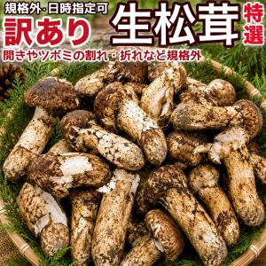 松茸　北海道　500g 訳あり　送料込　国産 ③ 生松茸 訳あり 約500g 箱 ＜開き方・大きさおまかせ＞ 中国雲南産 天然