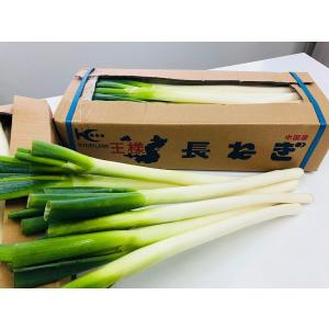 長ねぎ 業務用 10kg <5kg×2箱> 8...の詳細画像1