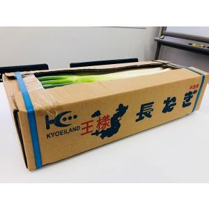 長ねぎ 業務用 10kg <5kg×2箱> 8...の詳細画像3