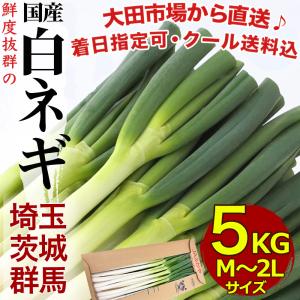国産長ねぎ 約15kg（5kg×3箱）M〜2Lサイズ 関東地区産地 厳選白ネギ