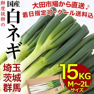 長ねぎ ネギ 業務用 約20kg <5kg×4箱>160本前後入 中国産 白い 長ねぎ ネギ 業務用 約20kg <5kg×4箱>160本前後入 中国産 白い