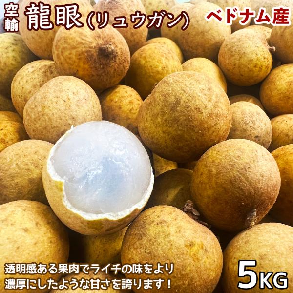 生龍眼（リュウガン）約5kg 産地箱 ベトナム産｜空輸直送 フレッシュ生竜眼｜日本向け 濃厚な甘さで...