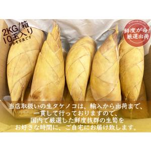 生たけのこ 約2kg 箱|フレッシュ生筍 中国...の詳細画像2