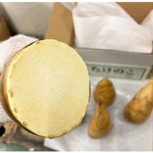 生たけのこ 約2kg 箱|フレッシュ生筍 中国...の詳細画像4