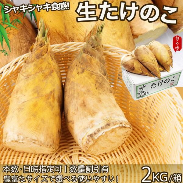 生たけのこ 約4kg ＜5~10本入×2箱＞新タケノコ 中国産 フレッシュ筍 孟宗筍 シャキシャキ食...