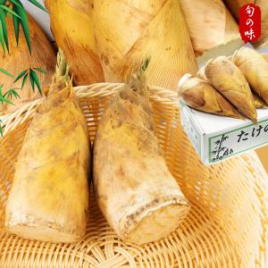 ダークチェリー 約5kg 産地箱 厳選大粒 チリ・ニュージーランド産 空輸