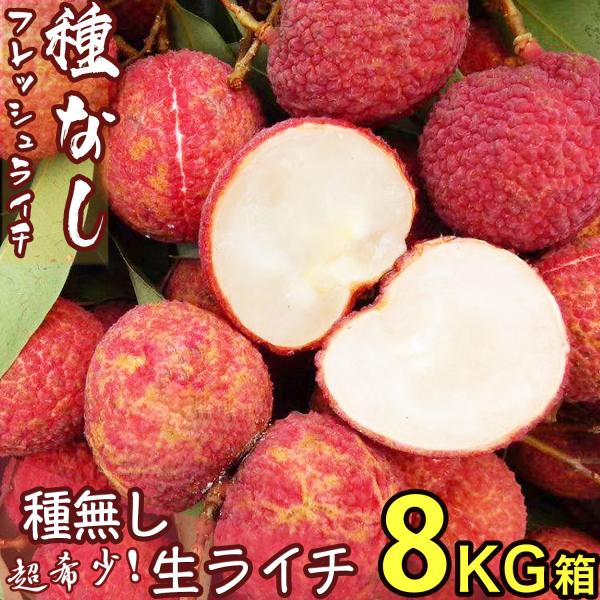 種無し生ライチ 約8kg 約160玉前後 大玉｜中国産 無核ライチ｜みずみずしく食べ応え満点の希少な...