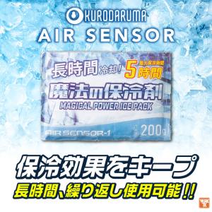 クロダルマ 保冷剤200g 単品 春夏 秋冬 ...の詳細画像1