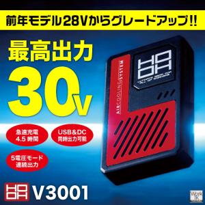 (2026年新型) HOOH 30V バッテリ...の詳細画像2