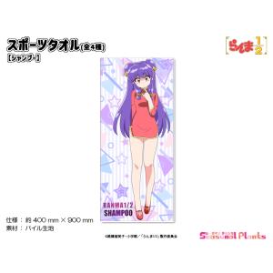 文房具[らんま1／2 下敷き 0989] 当時もの 女らんま 高橋留美子 アニメ