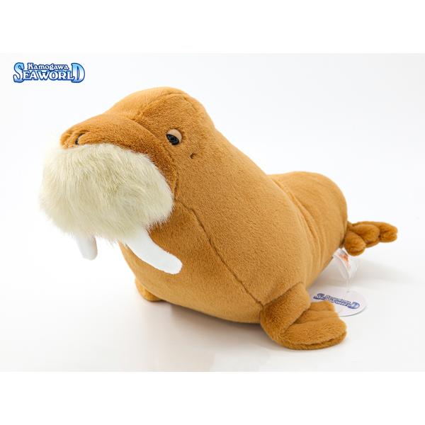 鴨川シーワールド オリジナルセイウチぬいぐるみ