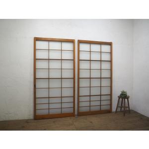 タX0380◇【H177cm×W87cm】×2枚◇モールガラス入り◇素敵なデザインの