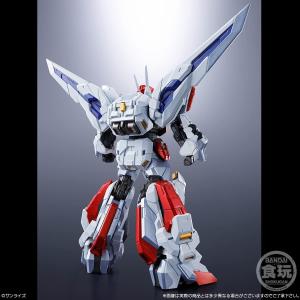 SMP ALTERNATIVE DESTINY...の詳細画像5
