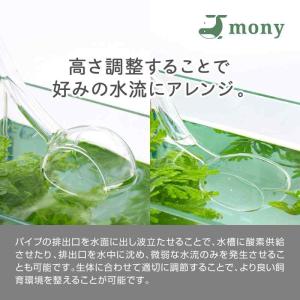 Mony リリィパイプ アクアリウム 水槽セッ...の詳細画像3
