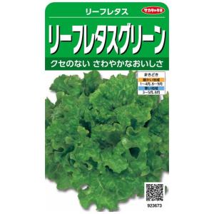 サカタのタネ 実咲野菜3673 リーフレタスグリーン リーフレタス 00923673