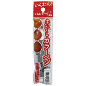 高森コーキ キズかくしカラーペン グレー RPN-13