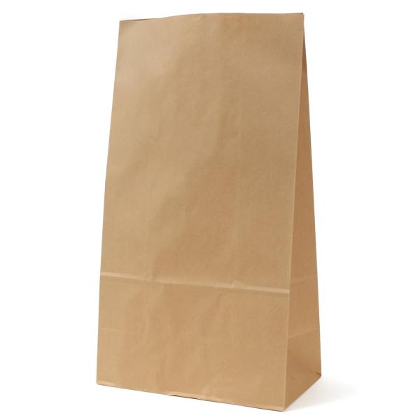 パックタケヤマ 紙袋 マチあり 角底袋 H30 未晒 100枚 XZT00392