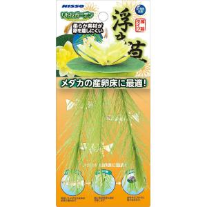 ニッソー リトルガーデン 浮き草