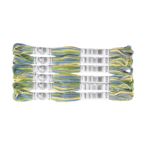 DMC Coloris コロリ 刺繍糸 6束入 25番 #4506 DMC517B