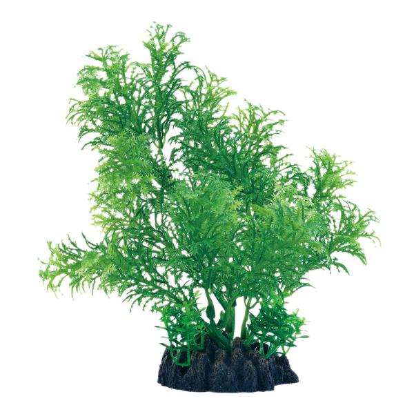 ジェックス 癒し水景 広がるカボンバ 観賞魚・水槽用オーナメント 横に広がる人工水草