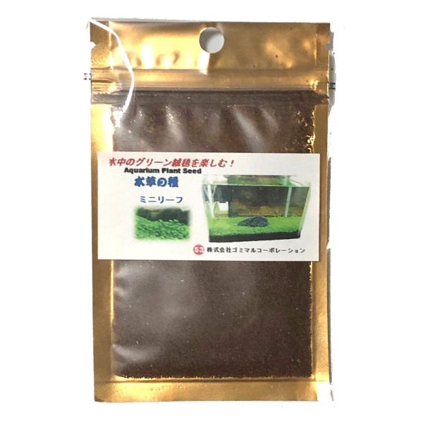 水中のグリーン絨毯 水草の種 ミニリーフ