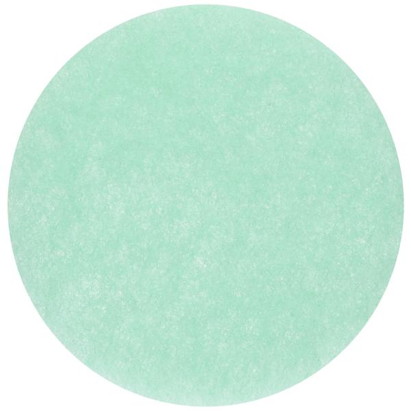 ナスタ(NASTA) アレルフィルター グリーン 5枚入り KS-FKAS8641