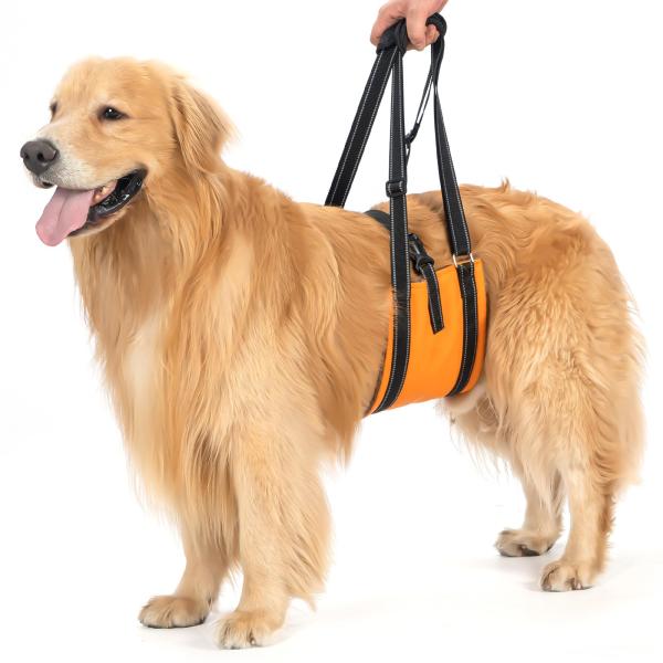 Avont 犬用 介助 歩行補助 ハーネス 老犬サポート 介護用品 バンド調節可能 -オレンジ