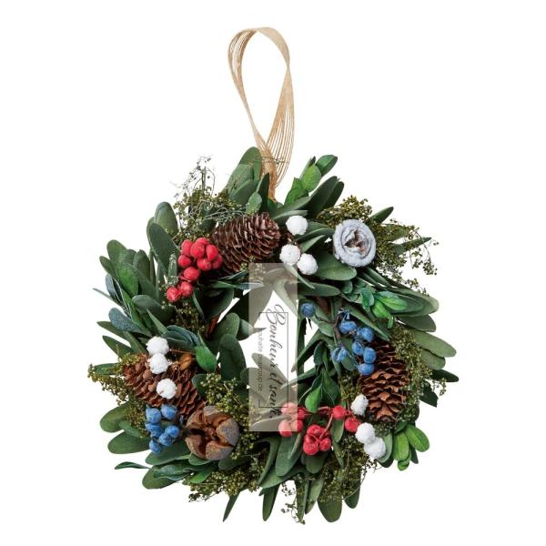 パセオ グリーンリース グリーン S XS-316S