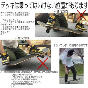 (製法MAX)★ザ・普通★ V2プレス 無地 ...の詳細画像3