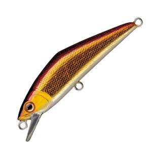 スミス Dコンタクト50 10個セット 楽天市場】スミス Dコンタクト 50 20周年記念カラー D-コンタクト 50mm