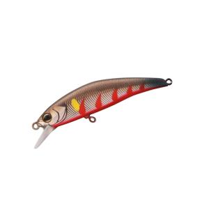 ジャッカル　トリコロール　流芯　５３ＨＷ　郡上鮎　烈火
